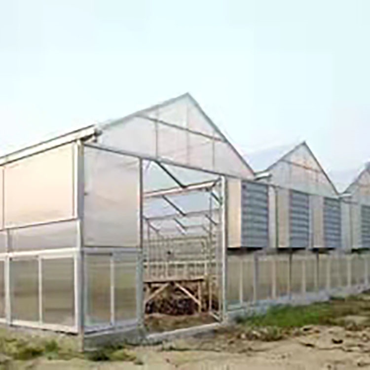 举例几种现代设施农业大棚种植的模式