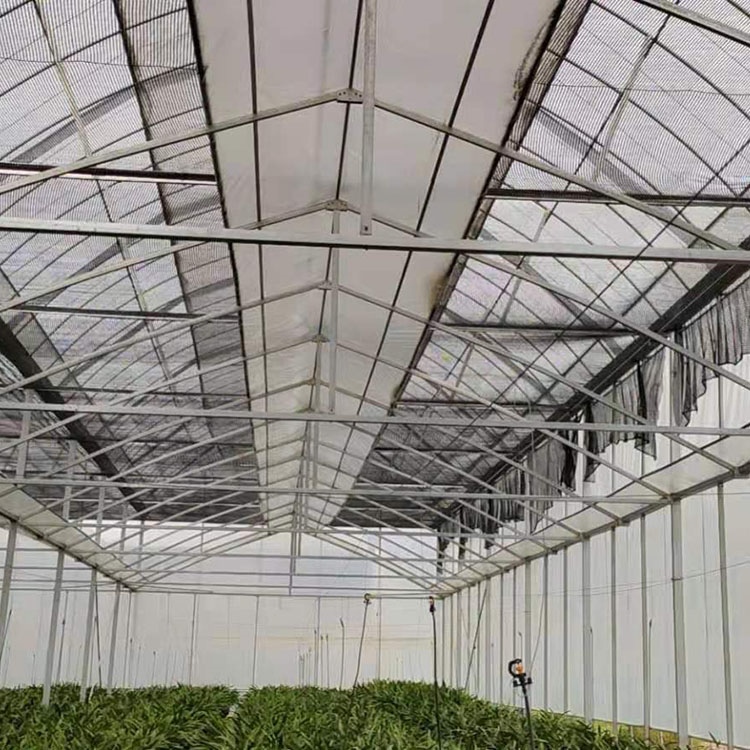 农业种植温室大棚如何设计更加节能