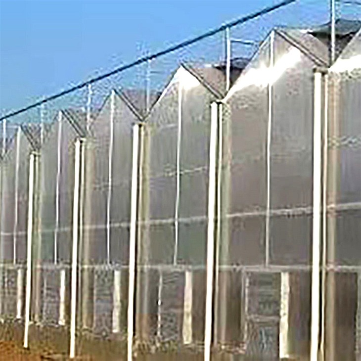 种植温室大棚建设